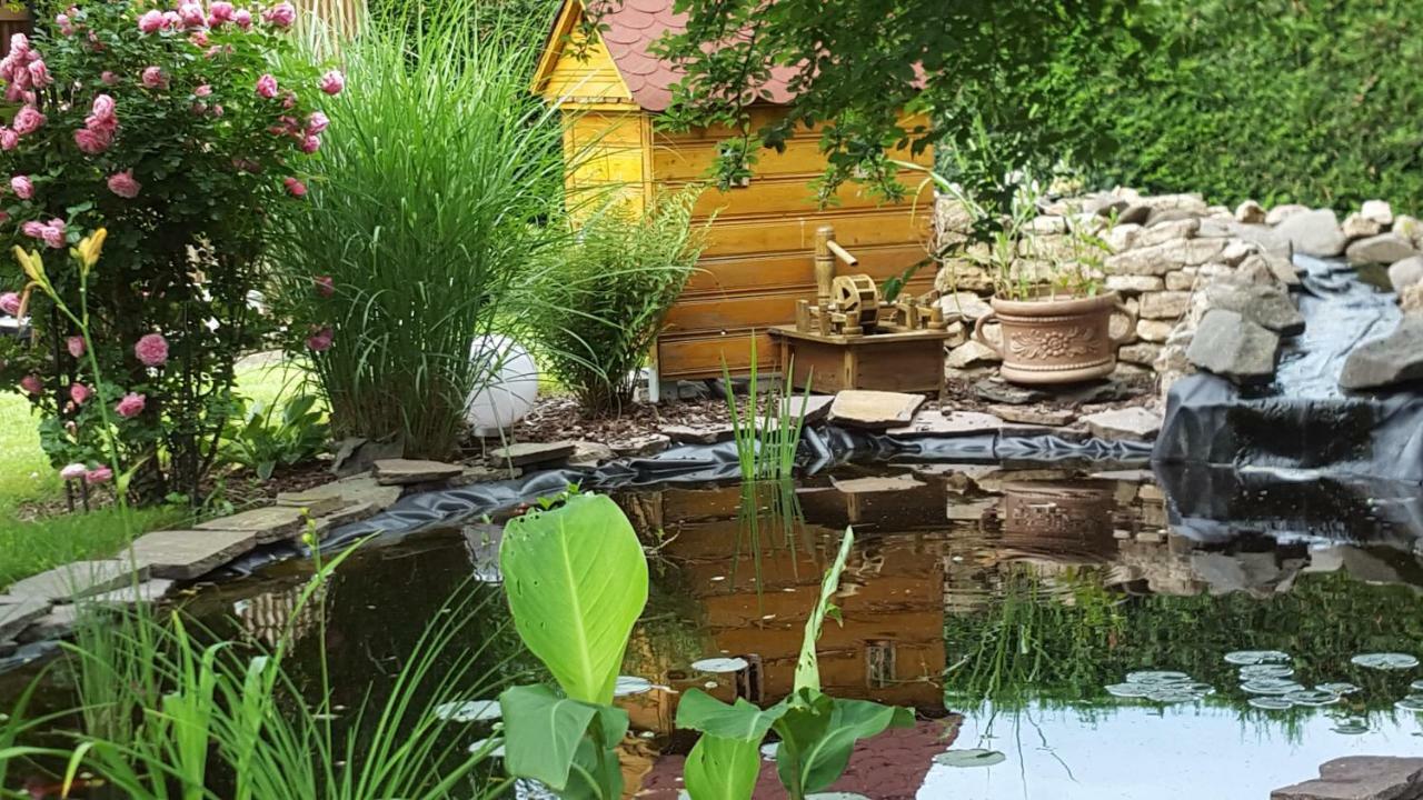 Harzer Auszeit Daire Hattorf am Harz Dış mekan fotoğraf